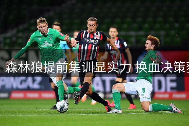 森林狼提前集训显实力 换血决策获验证